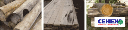 Поражение древесины